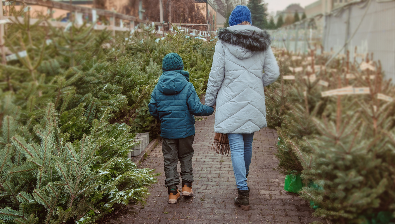 Christmas Tree grower, retailer, Christmas Tree lot, Christmas Tree digital advertising